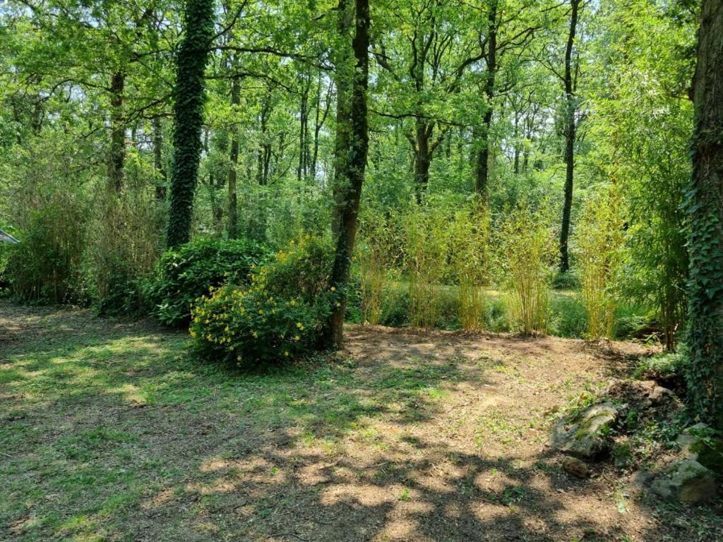 Les Chalets De Saumur, Piscine & Parc Boise, 100M Du Cadrenoir Luaran gambar