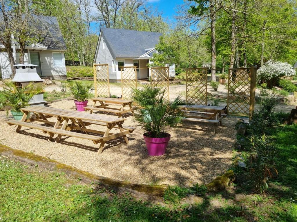 Les Chalets De Saumur, Piscine & Parc Boise, 100M Du Cadrenoir Luaran gambar