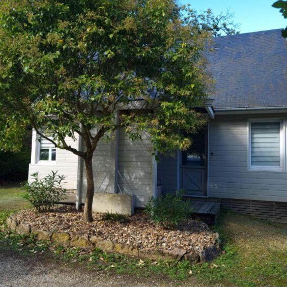 Les Chalets De Saumur, Piscine & Parc Boise, 100M Du Cadrenoir Luaran gambar